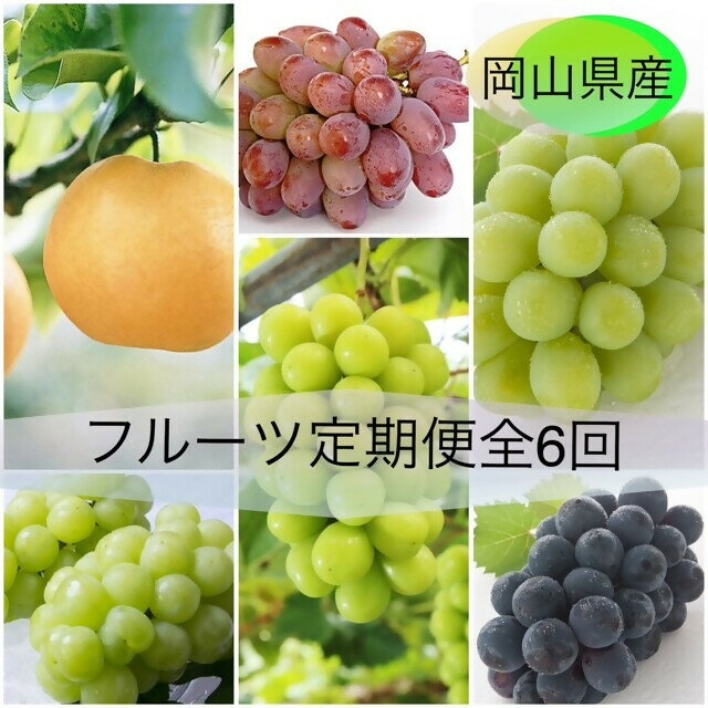 【ふるさと納税】【令和8年発送・先行予約】フルーツ定期便全4回　vz-1