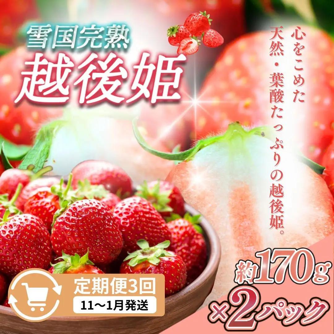 【先行予約 定期便3回】越後姫 いちご 雪国完熟 11〜1月 170g×2回 いちご
