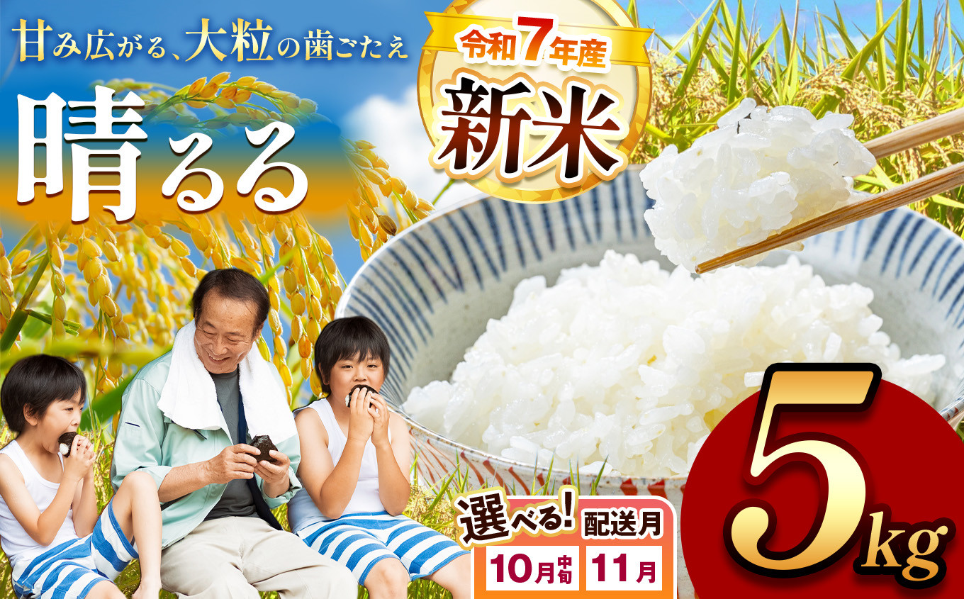 
            令和7年度産 新米 晴るる 白米 5kg 先行予約 ＜ 2025年10月中旬～11月より順次発送予定 ＞ ｜ 精米 新米 白米 米 お米 コメ 単一米 晴るる はるる  山口 美祢 秋吉台 5kg
          