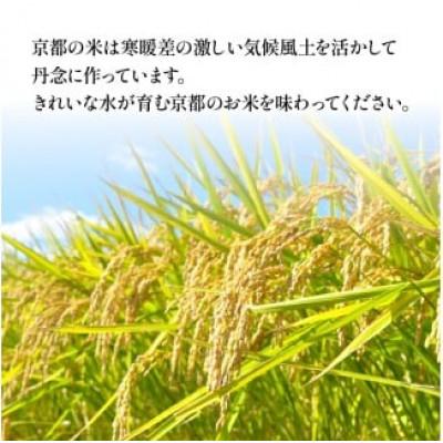ふるさと納税 京都府 【令和7年産】京都府産 丹後コシヒカリ 玄米 5kg |  | 01