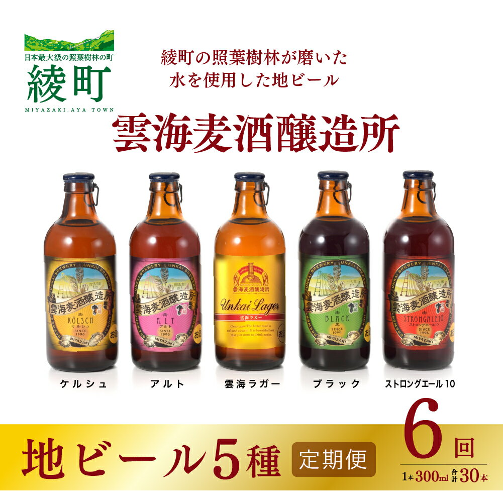 【ふるさと納税】雲海麦酒醸造所 地ビール 5種 飲み比べ セット 【6回 定期便】
