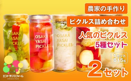＜農家の手作り ピクルス詰め合わせ！＞人気のピクルス5種セット(2セット・計10本)  タマネギと青じそ梅かつお さつまいもと柚子のサワーバニラ 大根の梅かつお柚子 季節のピクルス 酢漬け 漬物 おかず ヘルシー 【m104-09-B】【エントランスファーム】