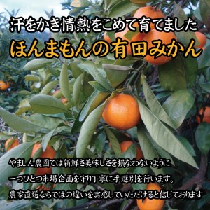 【2022年冬頃発送予約分】【農家直送】完熟有田みかん 約5kg 有機質肥料100%  サイズ混合 先行予約 ※2022年12月上旬～2023年1月下旬に順次発送予定（お届け日指定不可）【nuk118