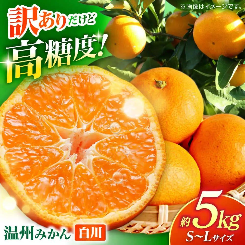 【訳あり】 温州みかん 『白川』 約5kg S～Lサイズ 【奥村果実園】[ZFK003]