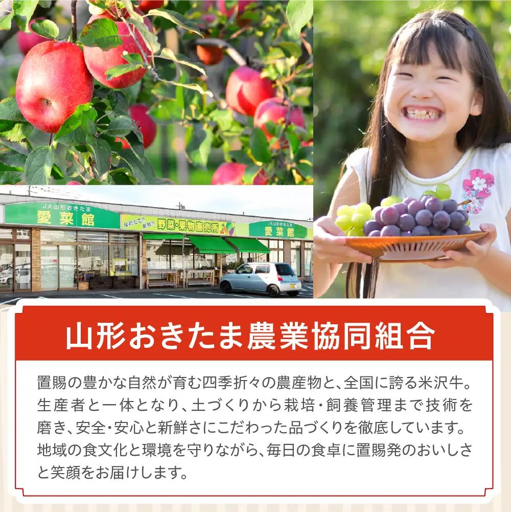 先行予約 令和8年産 訳あり りんご 品種 お任せ 約5kg りんご