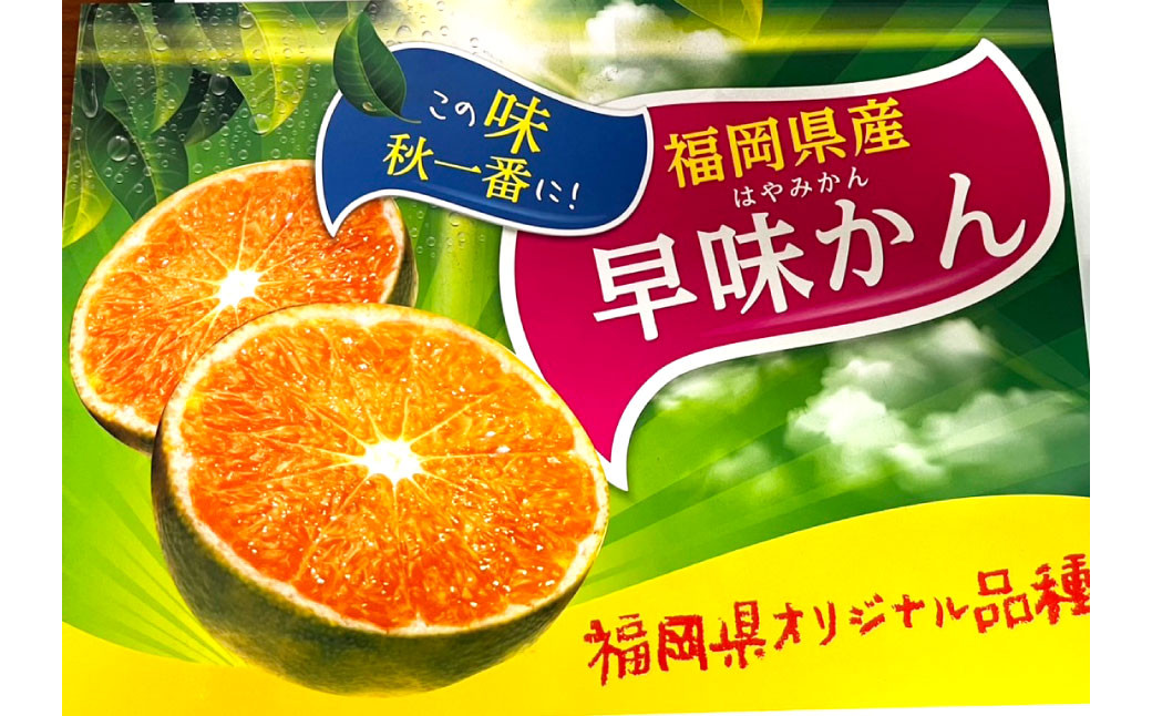 福岡県産 早味かん M・Sサイズ 約4kg以上 (40玉～50玉入り)