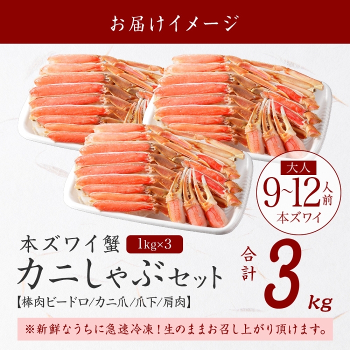 3000. 本ズワイガニ 蟹しゃぶ ビードロ 1kg 3個 計3kg 9-12人前 生食 カット済 ずわい蟹 ズワイガニ カニ 蟹 かに 生 蟹しゃぶ 人気 お取り寄せ 送料無料 北海道 弟子屈町_イ