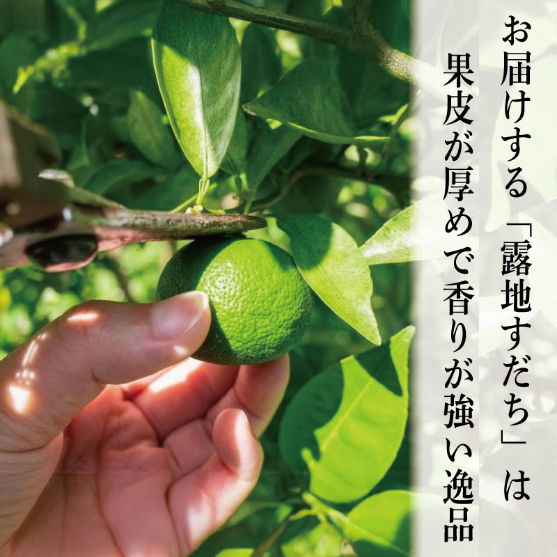 すだち 秀品 1kg 徳島県産 9月のみ発送 先行予約 魚 ホタテ 鮭 サーモン さば ぶり まぐろ うなぎ さんま 刺し身 肉 牛タン ステーキ 牛肉 豚肉 鶏肉 そうめん 米 ご飯 寿司 パスタ 