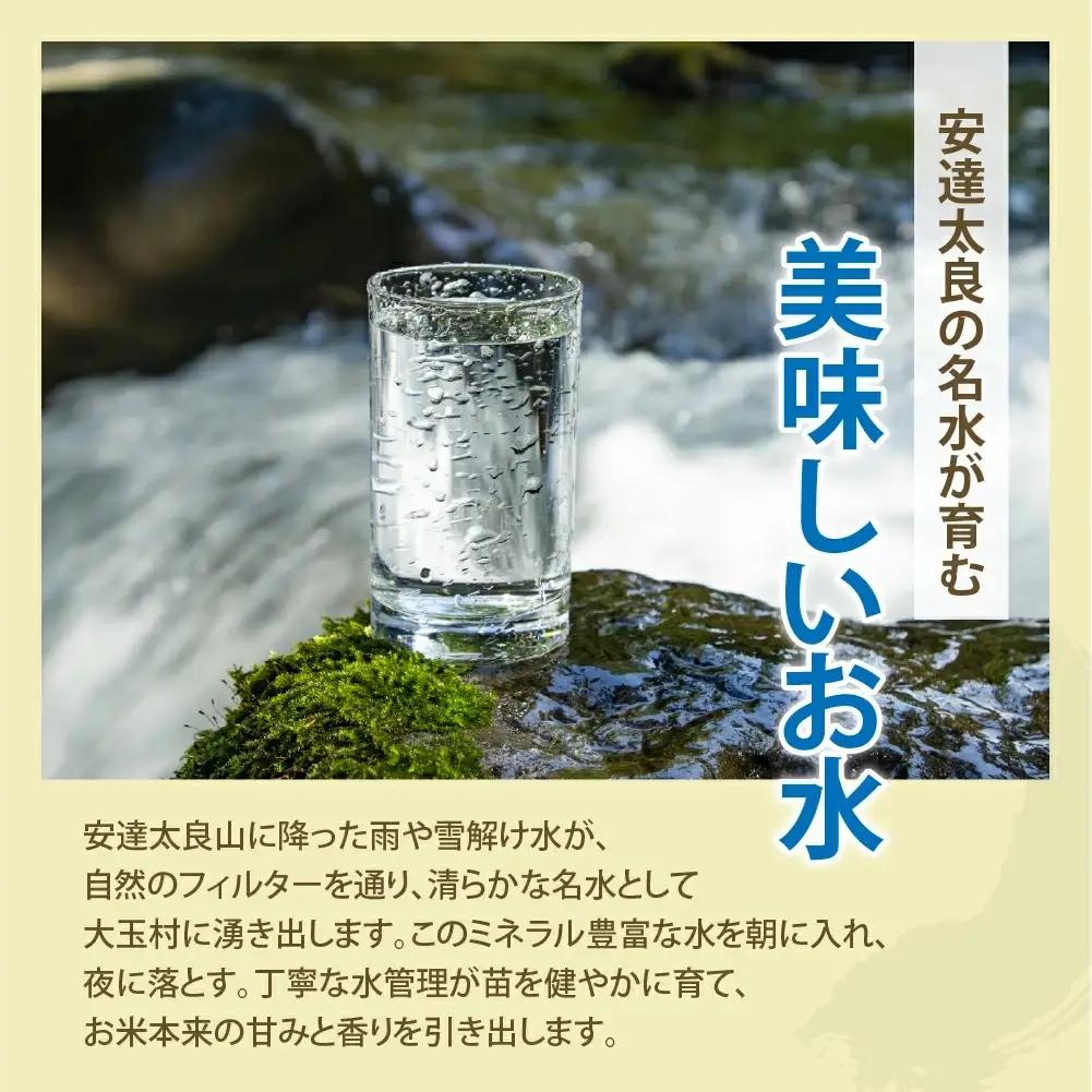 【令和７年産】特別栽培米 コシヒカリ 5kg