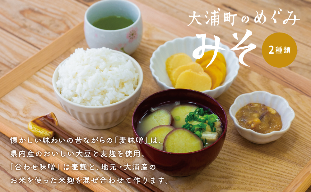 【鹿児島県産大豆使用】麦味噌・合わせ味噌詰合せ 計4.8kg (800g×6袋) 熟成発酵 麦みそ 合わせ みそ 調味料 みそ汁 豚汁 酢味噌 田舎の味 大浦町 南さつま市