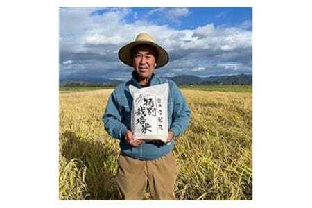 米 令和7年度産 特別栽培米 雪若丸 10kg [渡部ファーム 山形県 高畠町 tk06ays810029]