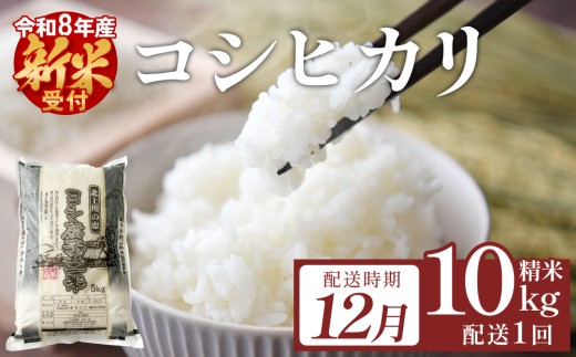【12月配送】 ＜ 先行予約 ＞ 米 令和8年産 コシヒカリ 精米 10kg ( 5kg × 2袋 ） 単品 新米 こめ コメ お米 ご飯 白米 こしひかり