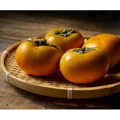 ふるさと納税 印南町 アンポ干し柿用平核無(ヒラタネナシ)生渋柿AP-約4.5-5kg　約22〜35果実 |  | 02