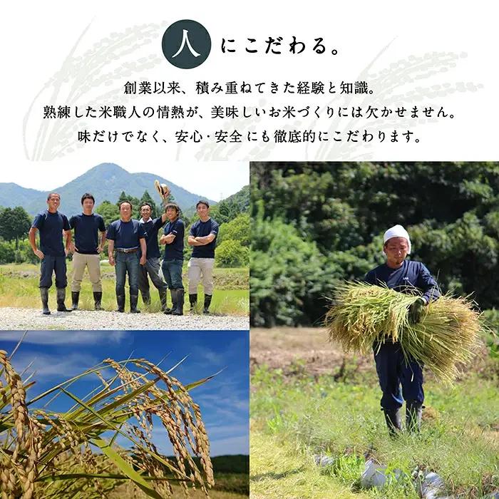 【6回定期便】令和8年産 新米 コシヒカリ 藤子ばぁちゃんのまごころ米 精米 10kg ( 5kg × 2袋 ) × 6回 ジャパンファーム