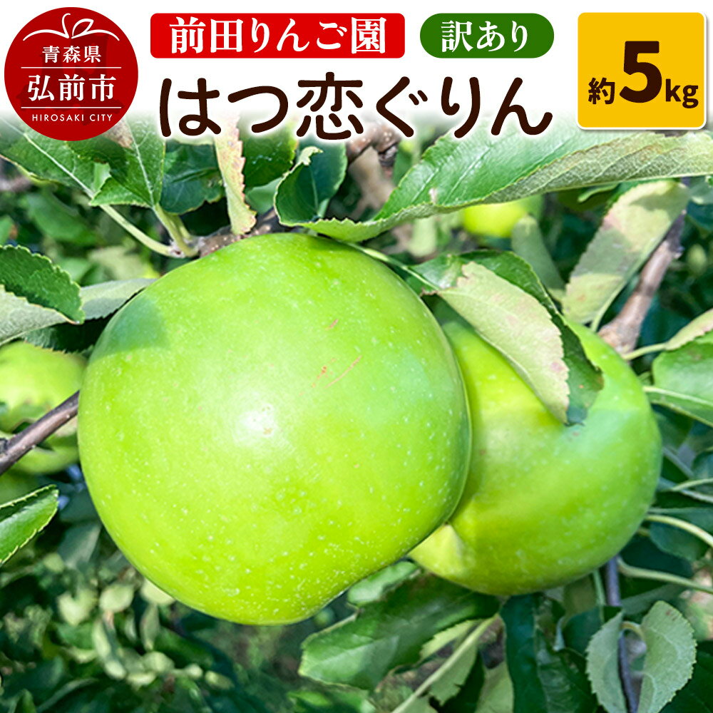 【ふるさと納税】【25年10月〜発送】りんご 【訳あり】 はつ恋ぐりん 約 5kg 前田りんご園