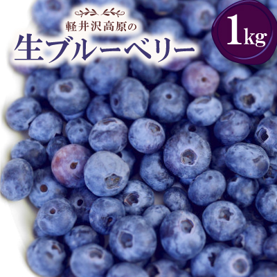 【2026年出荷分 先行予約】軽井沢高原の生ブルーベリー【1kg】【配送不可地域：離島】【1671178】