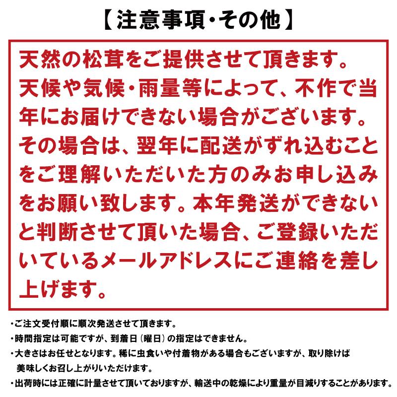 ［2026年発送分］香り・歯応え・味ともに最高級！希少な国産松茸「高野松茸」200g［化粧箱入］［MG92］  	AB77