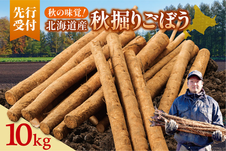 北海道十勝清水町産 秋堀りごぼう 10kg【2026年秋発送予定】牛蒡 ゴボウ