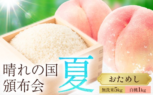 晴れの国頒布会 夏 おためし 無洗米 5kg 白桃 1kg《ページ内記載の時期に発送》岡山県 笠岡市 フルーツ 旬 果物 桃 コメ お取り寄せ