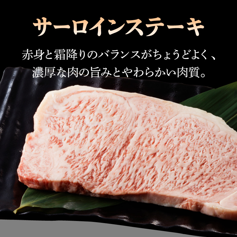 宮崎牛サーロインステーキ4枚合計800g　N0140-ZC219