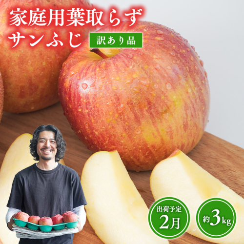 2月 葉取らずサンふじ 約3kg 訳あり 家庭用【青森県 平川市 森山商店 】 青森りんご 林檎 リンゴ サンふじ ふじ 葉とらず 訳あり 訳アリ 家庭用 平川市 青森県