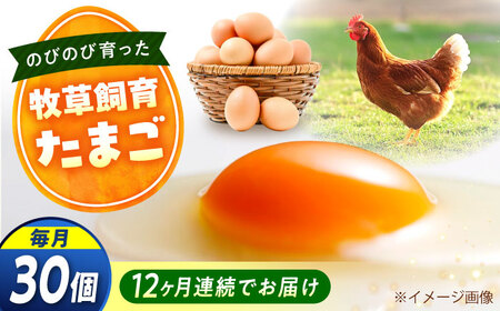 【全12回定期便】天心山 たまご 30個（10個入り×3パック）[BABW028] たまご