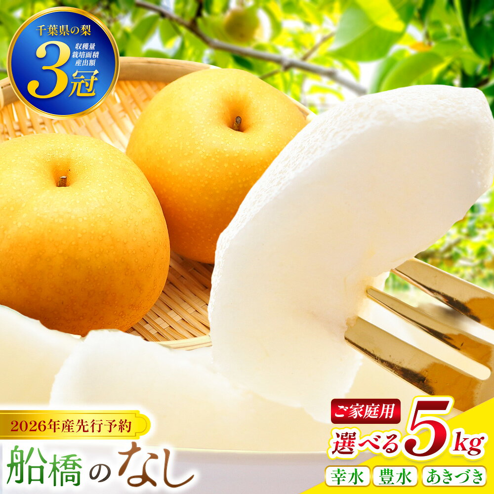 【ふるさと納税】船橋のなし 5kg 12～16玉 幸水 豊水 秋月 あきづき 家庭用 なし JA厳選 高品質 梨 千葉県 船橋市産 2026年産 先行予約