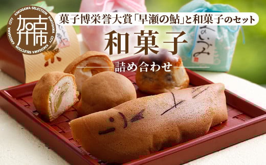 和菓子詰め合わせ《 和菓子 あんこ 詰め合わせ こしあん 上品な甘さ おいしい 》【2401H01801】