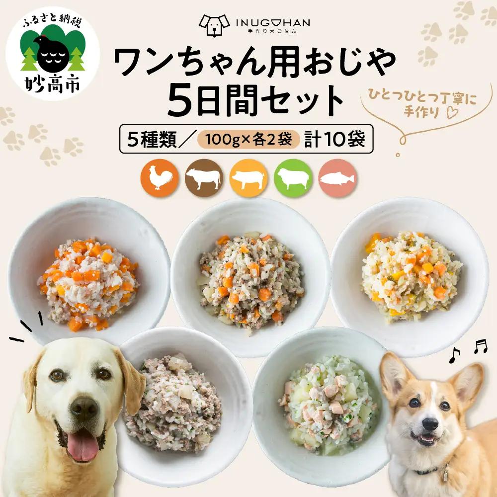 ワンちゃん用おじや5日間セット【各100g×2袋(計10袋)】