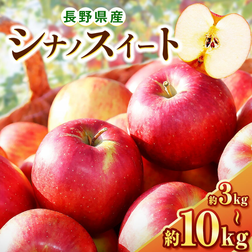 【ふるさと納税】10月上旬発送【選べる】シナノスイート 3kg～10kg(6～50玉) | ふるさと納税 果物 くだもの フルーツ シナノスイート リンゴ りんご 林檎 信州産 長野県 松本市