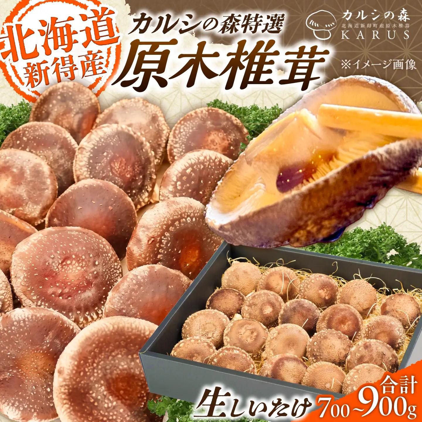 原木 生しいたけ 700g〜900g | 合同会社カルシ [BNAU002]