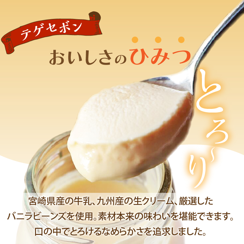南国プリン「テゲセボン(計9個)」_T038-005【スイーツ 洋菓子 国産 人気 ギフト 食品 贈り物 お土産 デザート 菓子 加工品 送料無料 プレゼント】