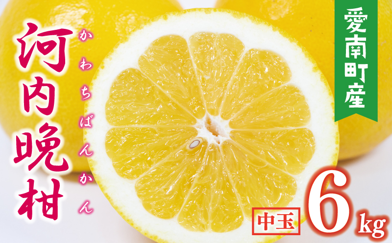 数量限定 先行予約 河内晩柑 樹齢 25年以上 中玉 6kg （ L ・ 2Lサイズ ） 8000円 みかん mikan 蜜柑 ミカン かわちばんかん 愛南ゴールド あいなん ゴールド 文旦 派生 和製 グレープフルーツ 産地直送 国産 農家直送 期間限定 特産品 ゼリー ジュース アイス 等に 人気 限定 甘い さわやか フルーツ 果物 柑橘 蜜柑 みかんの山祥 愛南町 愛媛県