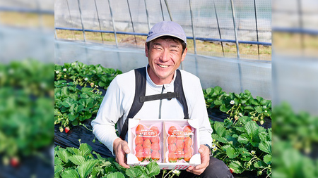 【12/17までの申込で年内にお届け！】 完熟 かおり野 約260g×4パック 年内お届け 国産 いちご イチゴ 苺 果物 フルーツ 茨城県産 KEK[BC082sa]