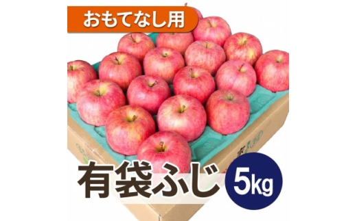 ＜27年4月から順次発送＞平均糖度13度以上! 有袋ふじ 約5kg おもてなし用 CA貯蔵 クール便【1392306】