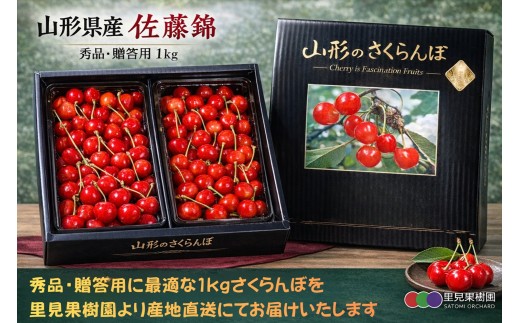 さくらんぼ（佐藤錦）１ｋｇ以上　Ｌ～２Ｌ　秀品以上　0079-2603