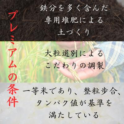 ふるさと納税 雲南市 雲南市プレミアムつや姫たたら焔米10kg (2kg×5袋) |  | 01