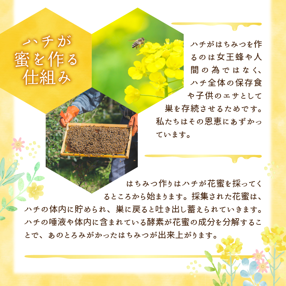 《2025年11月発送》 はちみつ 【千代田町の蜂蜜】1200g 百花蜂蜜 群馬県 千代田町 ＜田代養蜂場＞ ch011-004-11_イメージ3