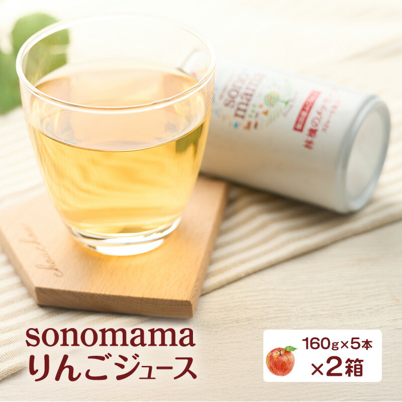 【ふるさと納税】りんごジュース「sonomama」（160g×5本）×2箱 りんご リンゴ ジュース リンゴジュース 飲料