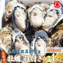 【ふるさと納税】カキ 殻付き 2年貝 約4kg（40個前後） 佐呂間産 【 ふるさと納税 人気 おすすめ ランキング 牡蠣 カキ かき 貝 牡蠣貝 殻付き ギフト 贈答 酒蒸し 冷蔵 海鮮 オホーツク 北海道 佐呂間町 送料無料 】 SRMA041