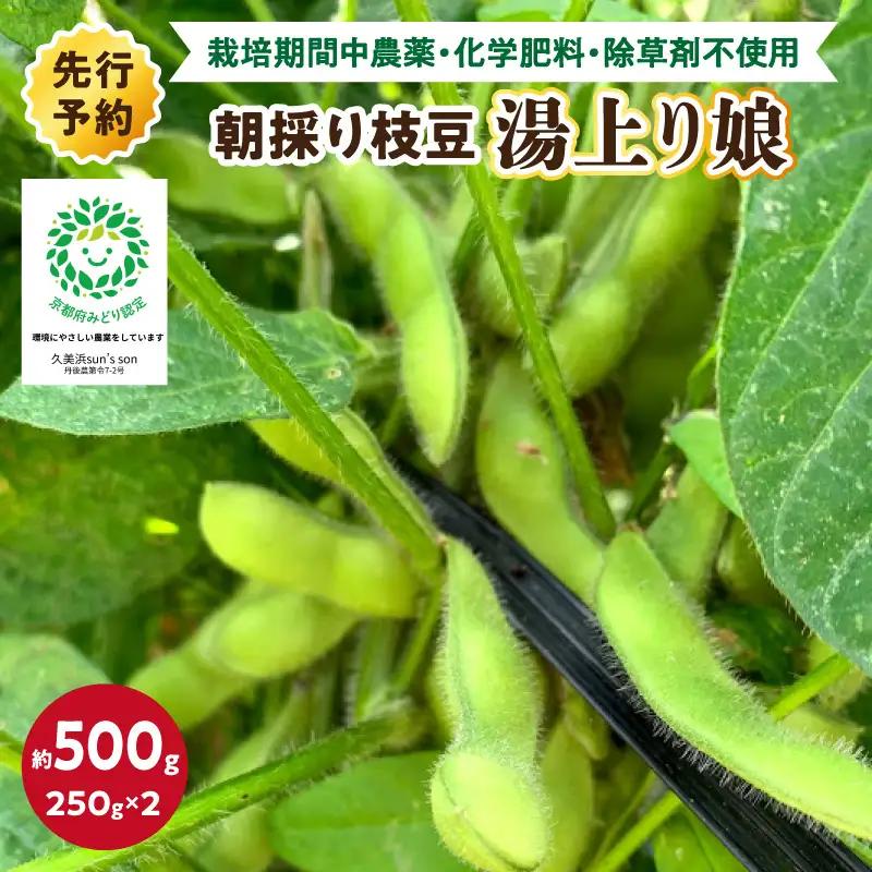 【数量限定】朝採り枝豆（湯上り娘）500g（250g×2パック）（栽培期間中農薬・化学肥料・除草剤不使用）（2027年7月上旬～発送） 枝豆