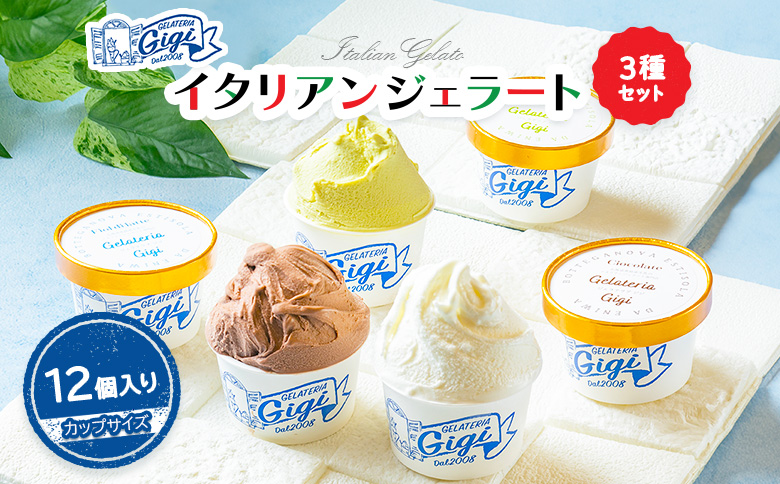 ジェラテリアGigiのイタリアンジェラート３種【カップサイズ12個入り】【43001702】