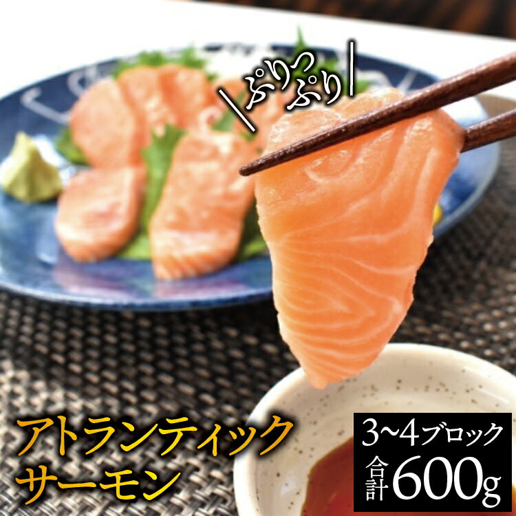 【ふるさと納税】タスマニア産サーモンブロック 3ブロック 合計600g 【抜群の脂乗りと旨み、プリっとした食感をご堪能ください】 （ サーモン 鮭 さけ 刺身 さしみ 冷凍 オーストラリア産 ）