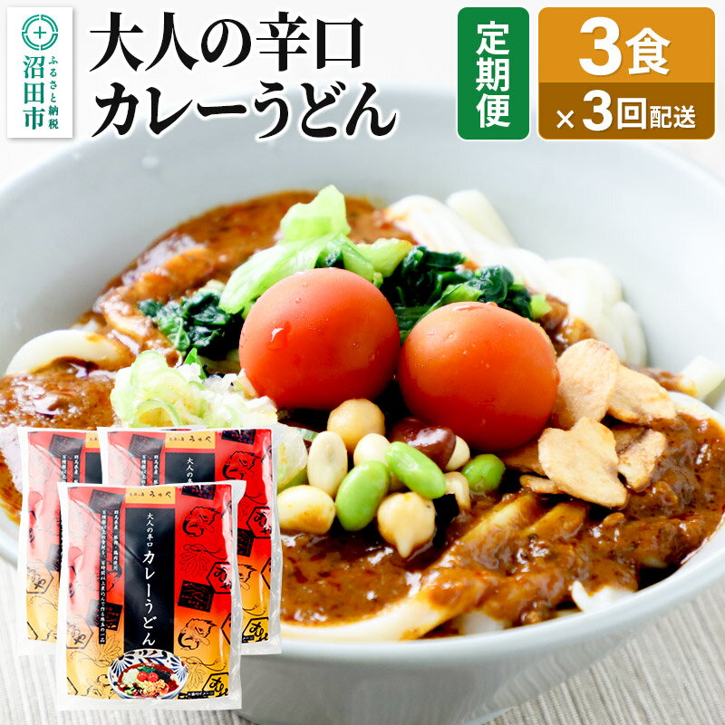 【ふるさと納税】《定期便3回》みのや 大人の辛口カレーうどん 3食セット