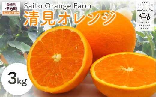 Saito Orange Farmの清見オレンジ3kg（2026年3月中旬頃より順次発送） 【 ふるさと納税 人気 おすすめ ランキング みかん ミカン 蜜柑 柑橘 清見 オレンジ 清見オレンジ フル