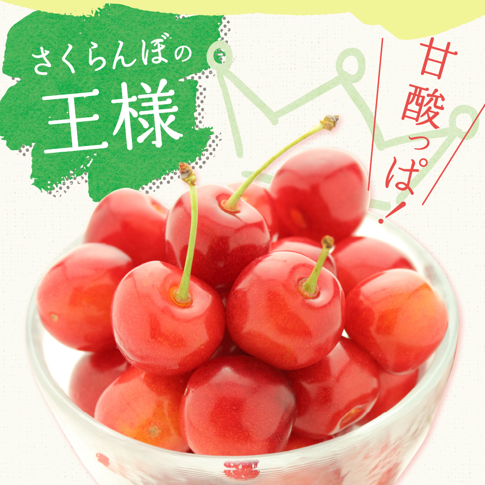 《 先行予約 》 令和7年産 さくらんぼ 佐藤錦 500g ( バラ詰め ) 〔2025年6月上旬～6月下旬頃お届け〕