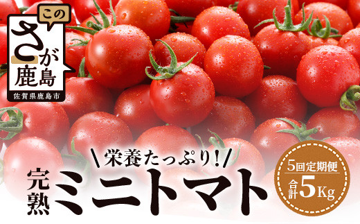 【5回定期便】【先行受付】2027年1月より順次発送予定｜｜完熟ミニトマト 1kg｜ミニトマト トマト プチトマト 農家直送 ギフト 人気｜佐賀県鹿島市｜たにぐちファーム Ricotomato（リコトマト）～とりこになるトマト～ G-27