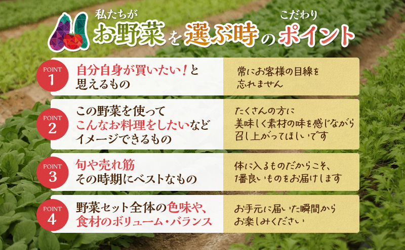 とれたて 野菜 パック 定期便 4回 2ヶ月おき 季節の野菜 セット 詰め合わせ 8品前後 野菜セット 野菜詰め合わせ ジャガイモ 人参 大根 小松菜 白ネギ グリーンリーフ チンゲン菜 椎茸 トマト