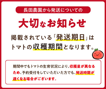 【4月～6月の定期便】たっぷり約2kg×3回！ 人気No.1トマトベリーの定期便 野菜ソムリエサミット 金賞 受賞 長田農園 産地直送 トマト とまと 野菜 やさい フルーツ サラダ 濃厚 甘い ご褒