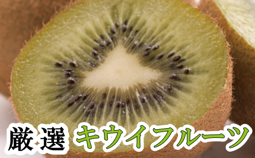 厳選キウイフルーツ1kg+250g（傷み補償分）【ikd036B】